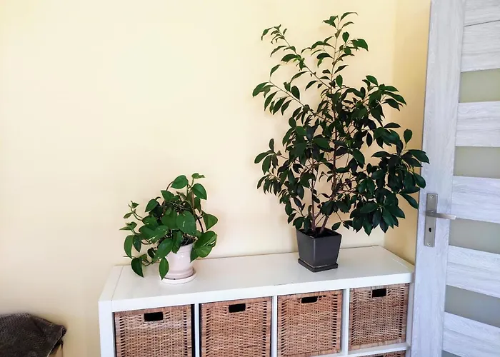 Zakatek - Blisko Morza * Kierzkowo (Wejherowo)